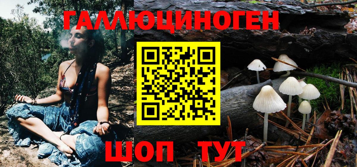Псилоцибиновые грибы Cubensis Пыть-Ях